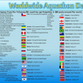 Flags Poster  countries & Names